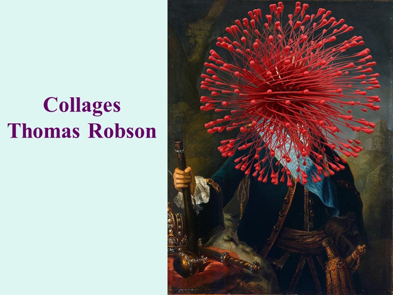 Collages  Thomas Robson